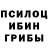 Галлюциногенные грибы GOLDEN TEACHER Holen's game