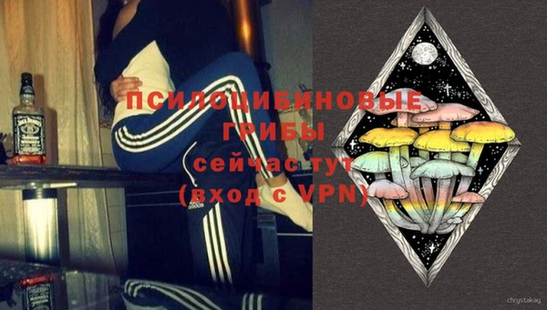 mdpv Верея