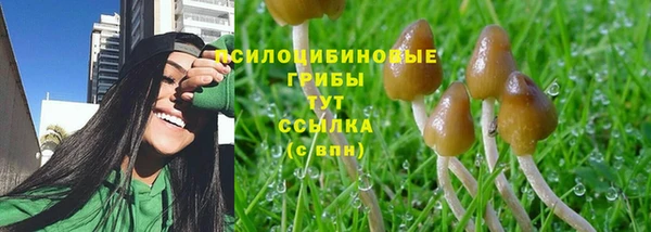 mdpv Верея