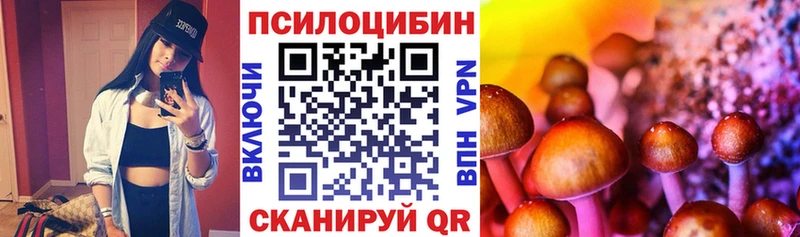 дарнет шоп  Щучье  Псилоцибиновые грибы Cubensis 